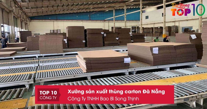 cong-ty-tnhh-bao-bi-song-thinh1-top10danang