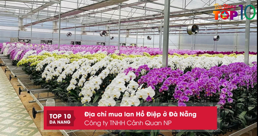 Cong-ty-tnhh-canh-quan-np-top10danang