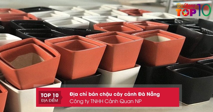 cong-ty-tnhh-canh-quan-np-top10danang