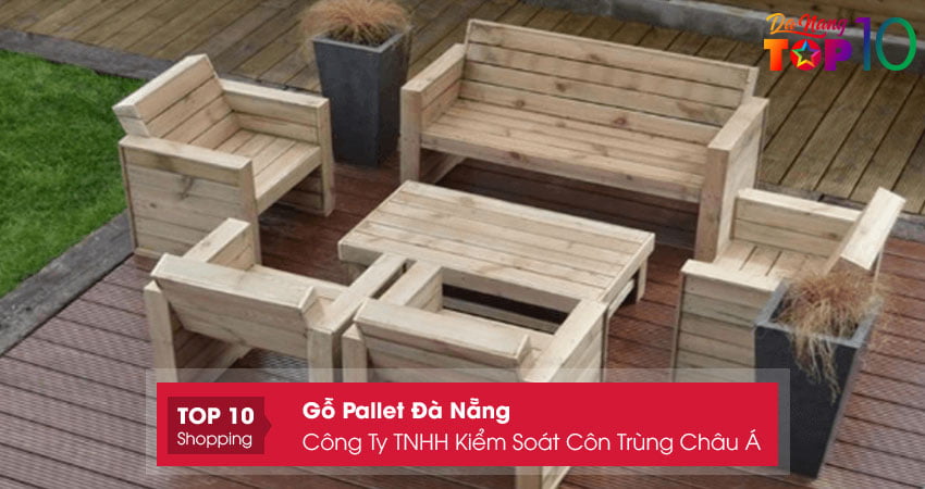 cong-ty-tnhh-kiem-soat-con-trung-chau-a-top10danang