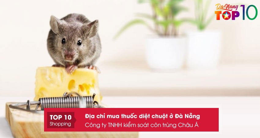 cong-ty-tnhh-kiem-soat-con-trung-chau-a-top10danang