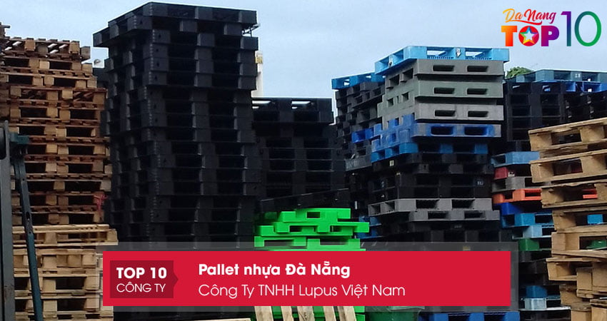 cong-ty-tnhh-lupus-viet-nam-top10danang