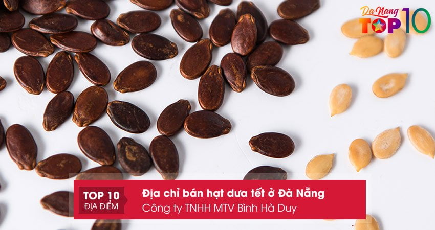cong-ty-tnhh-mtv-binh-ha-duy-top10danang