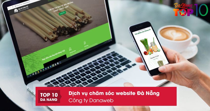 Cong-ty-tnhh-mtv-cong-nghe-phan-mem-danaweb-top10danang