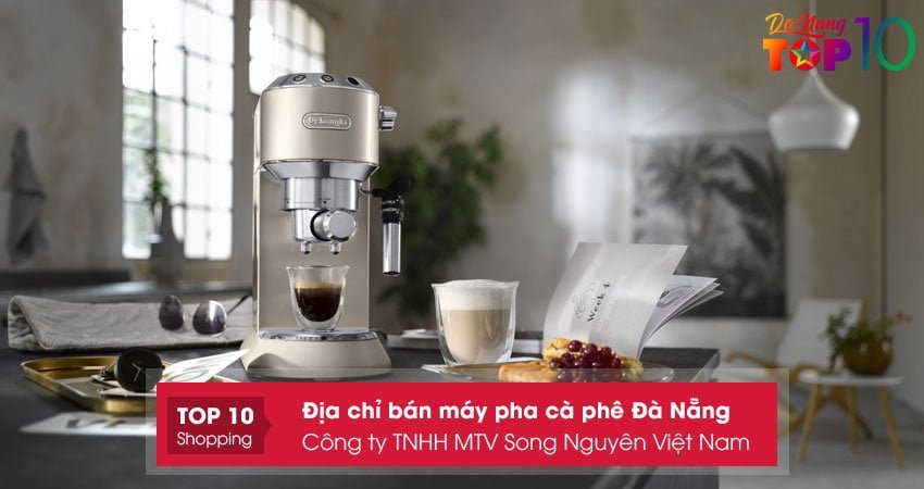 cong-ty-tnhh-mtv-song-nguyen-viet-nam-top10danang