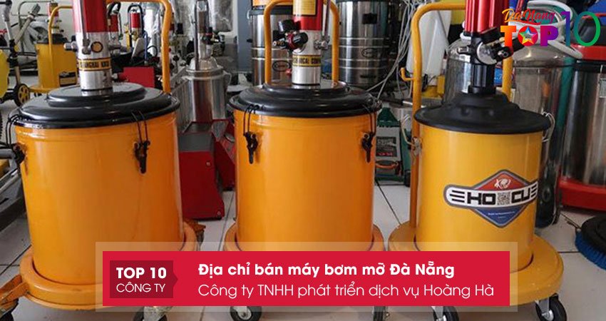 cong-ty-tnhh-phat-trien-dich-vu-hoang-ha-top10danang
