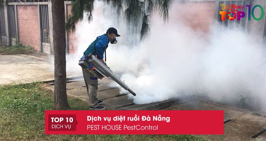 cong-ty-tnhh-phat-trien-dich-vu-ky-thuong-da-nang-top10danang