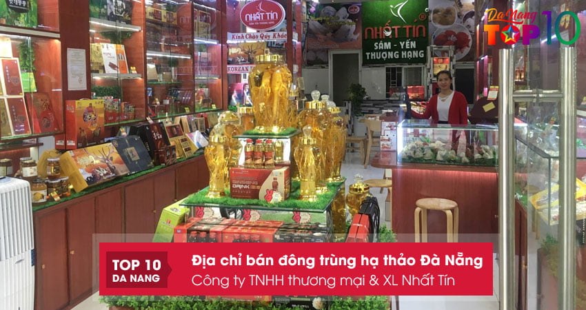 Cong-ty-tnhh-thuong-mai-xl-nhat-tin-top10danang