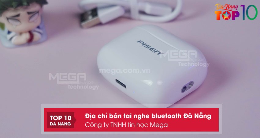 Cong-ty-tnhh-tin-hoc-mega-top10danang