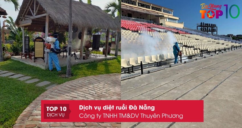 cong-ty-tnhh-tmdv-thuyen-phuong-top10danang