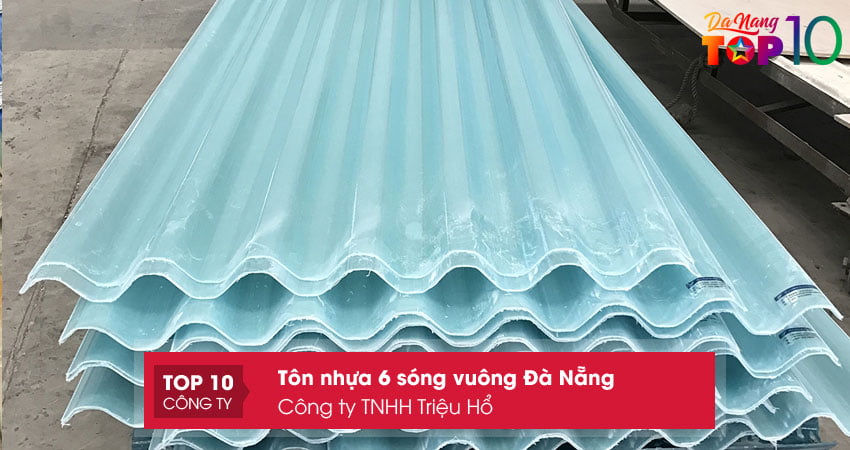 cong-ty-tnhh-trieu-ho-chuyen-ban-ton-nhua-6-song-vuong-da-nang-top10danang