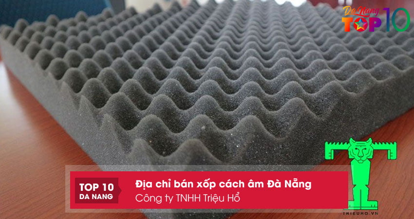 Cong-ty-tnhh-trieu-ho-top10danang