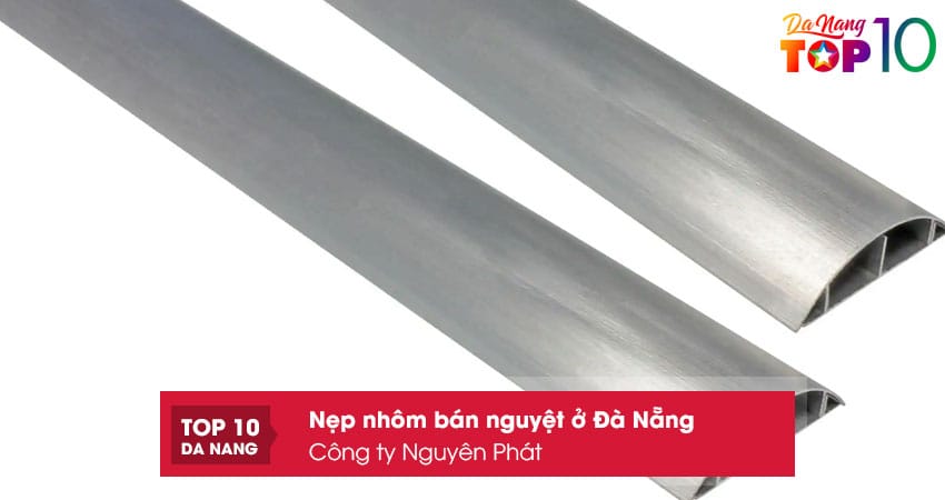 Cong-ty-tnhh-xuat-nhap-khau-va-thuong-mai-nguyen-phat-top10danang