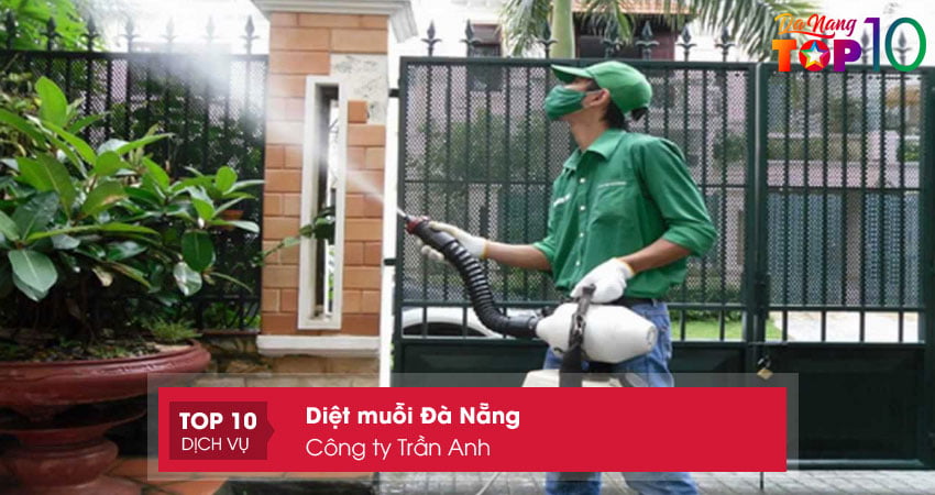 cong-ty-tran-anh-dich-vu-diet-muoi-da-nang-top10danang