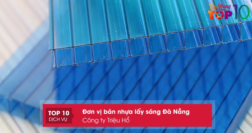 cong-ty-trieu-ho-top10danang