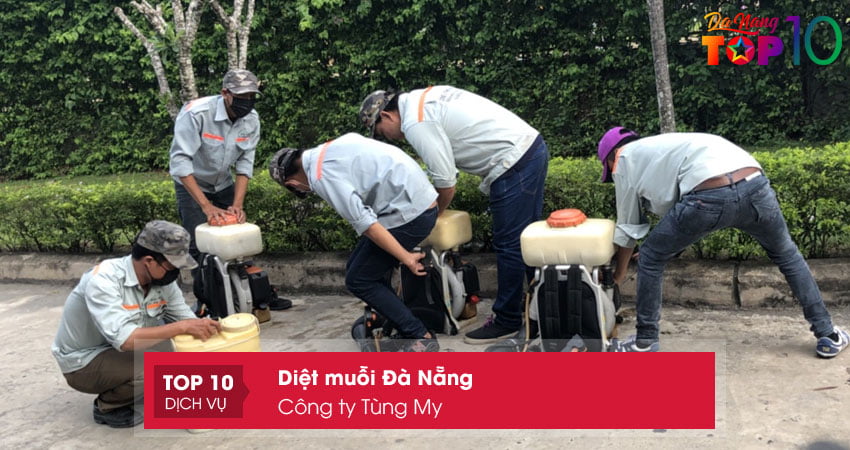 cong-ty-tung-my-dich-vu-diet-muoi-da-nang-top10danang