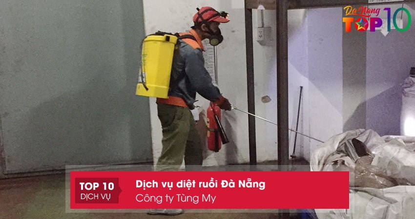 cong-ty-tung-my-dich-vu-diet-ruoi-da-nang-chuyen-nghiep-top10danang