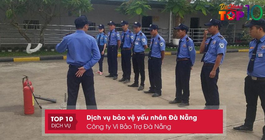 cong-ty-vi-bao-tro-da-nang-top10danang