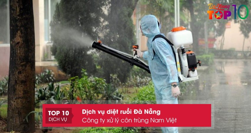 cong-ty-xu-ly-con-trung-nam-viet-dich-vu-diet-ruoi-da-nang-gia-re-top10danang