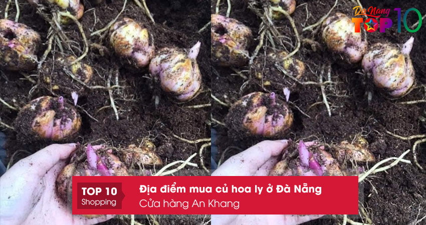 cua-hang-an-khang-top10danang