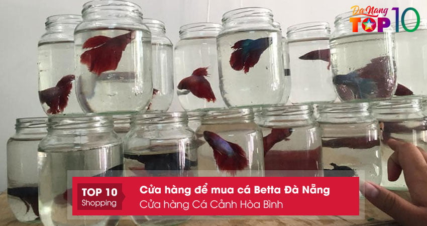 cua-hang-ca-canh-hoa-binh-top10danang