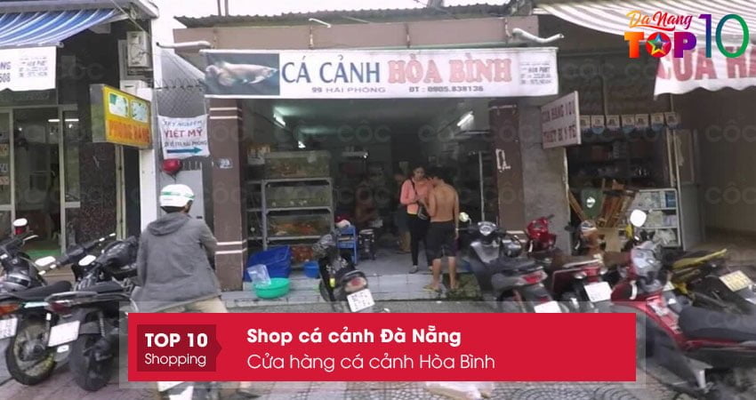 cua-hang-ca-canh-hoa-binh-top10danang