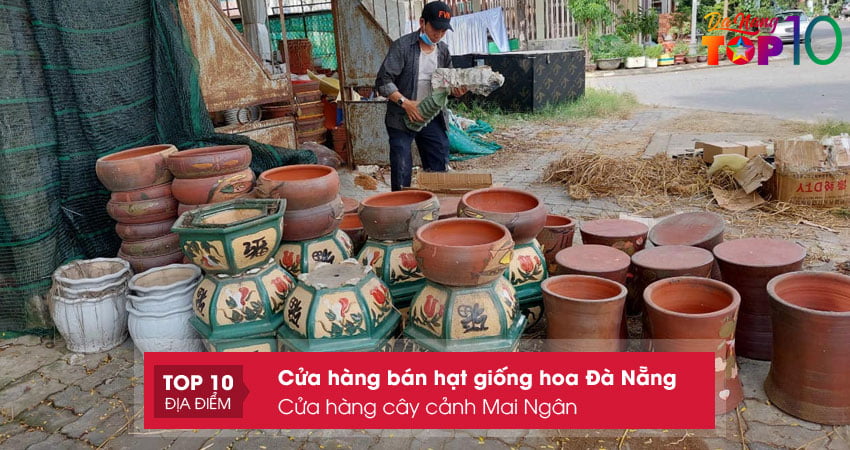 cua-hang-cay-canh-mai-ngan-top10danang