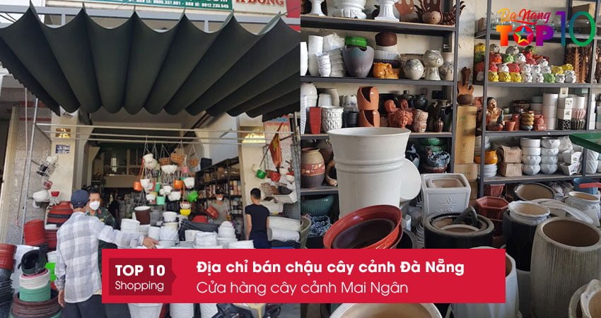 cua-hang-cay-canh-mai-ngan-top10danang