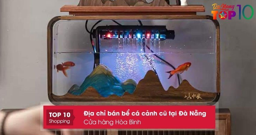 cua-hang-hoa-binh-ban-be-ca-canh-cu-tai-da-nang-gia-re-top10danang