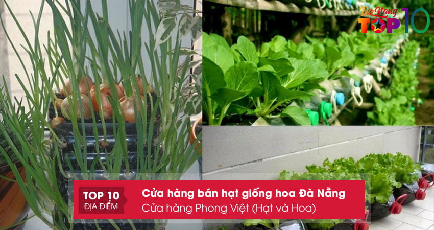 cua-hang-phong-viet-hat-va-hoa-top10danang