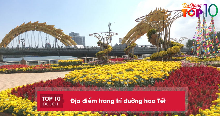 da-nang-ron-rang-trang-tri-duong-hoa-don-tet-nam-quy-mao-top10danang