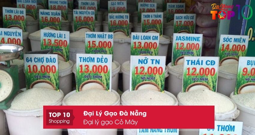 dai-ly-gao-co-may01-top10danang