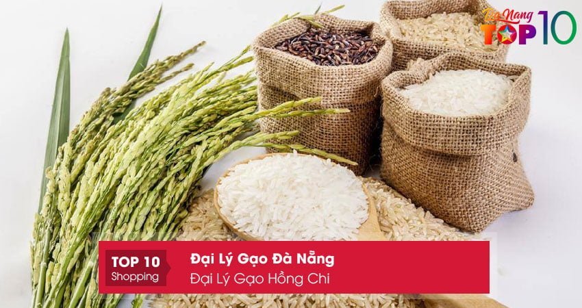 dai-ly-gao-hong-chi01-top10danang