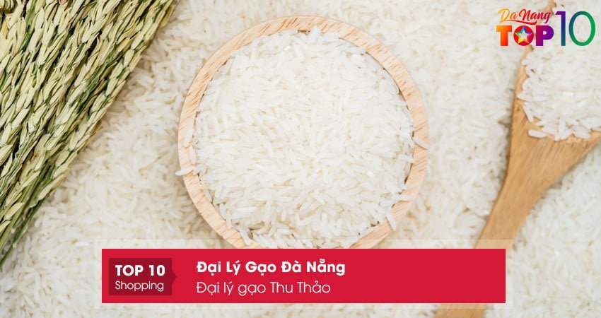 dai-ly-gao-thu-thao01-top10danang
