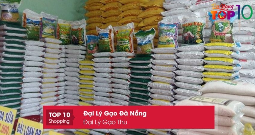 dai-ly-gao-thu01-top10danang