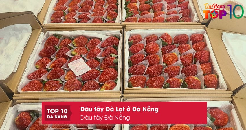 Dau-tay-da-nang-top10danang