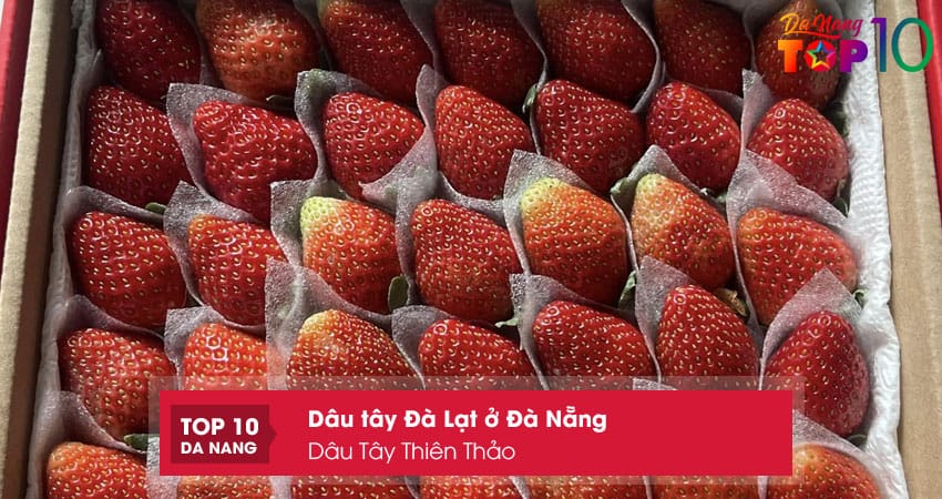 Dau-tay-thien-thao-top10danang