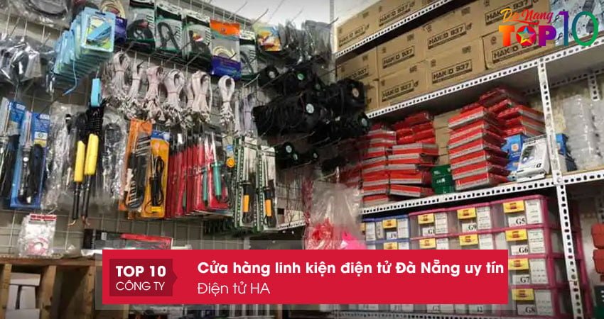 dien-tu-ha-top10danang