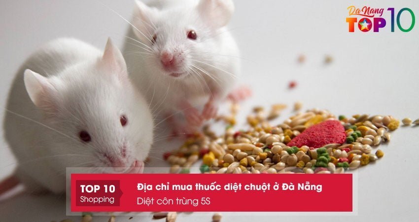 diet-con-trung-5s-noi-mua-thuoc-diet-chuot-o-da-nang-hieu-qua-top10danang
