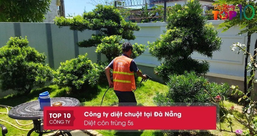 diet-con-trung-5s-top10danang