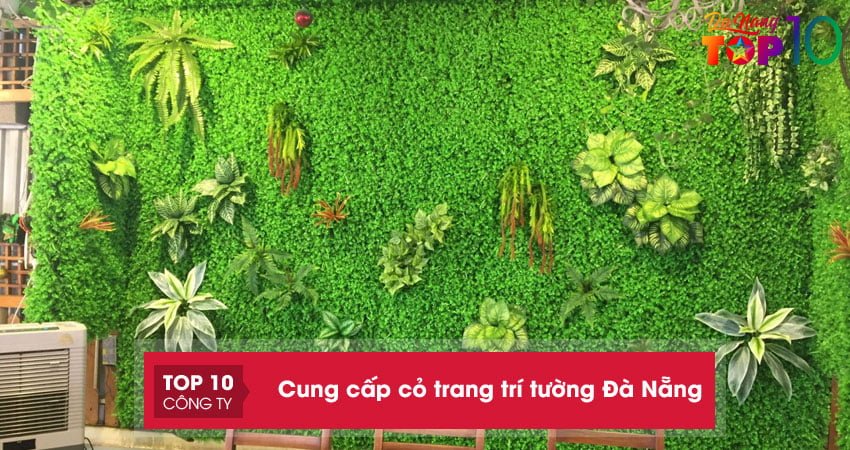 15+ cửa hàng cung cấp cỏ trang trí tường Đà Nẵng giá tốt nhất