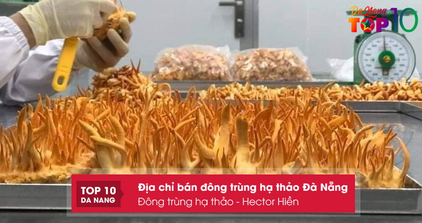 Dong-trung-ha-thao-hector-hien-top10danang