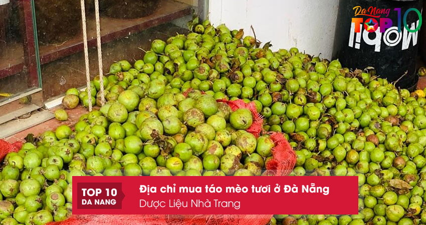 Duoc-lieu-nha-trang-top10danang
