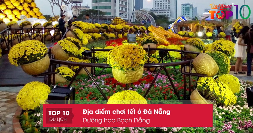 duong-hoa-bach-dang-top10danang