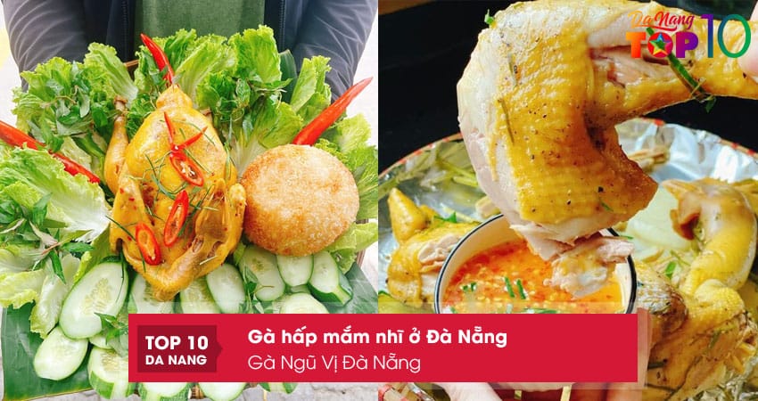 Ga-ngu-vi-da-nang-top10danang