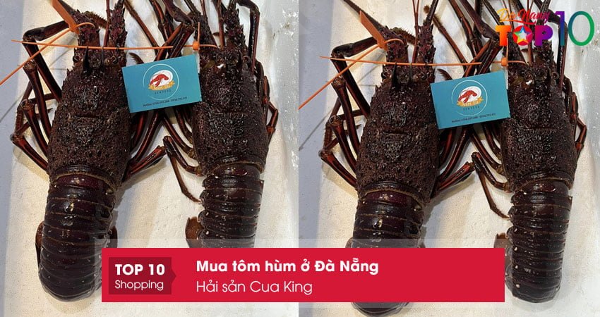 hai-san-cua-king-mua-tom-hum-o-da-nang-uy-tin-top10danang