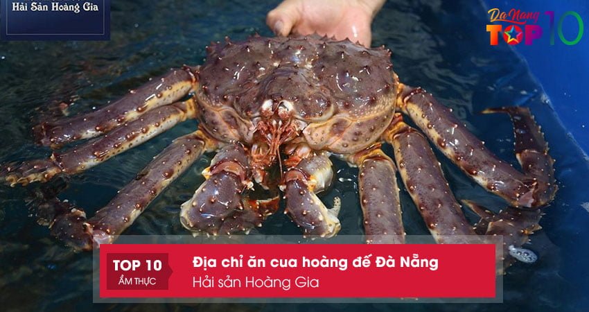 hai-san-hoang-gia-top10danang