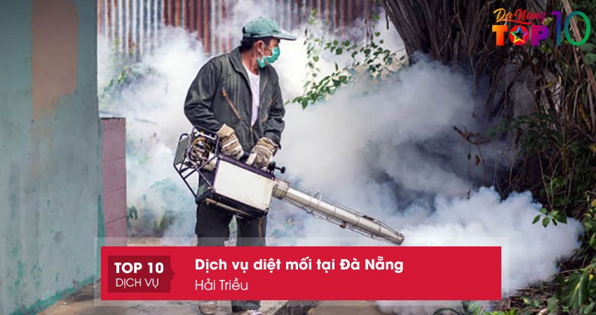 hai-trieu-dich-vu-chuyen-nghiep-diet-moi-tai-da-nang-top10danang