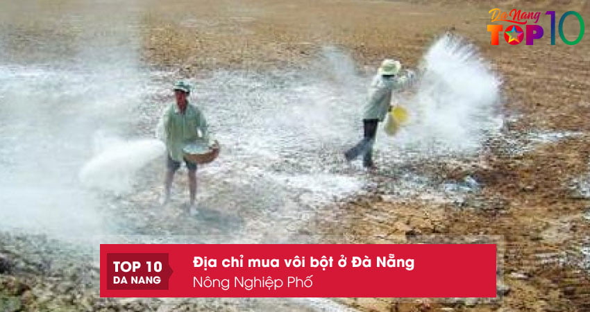 Hat-giong-xanh-mua-voi-bot-o-da-nang-chat-luong-top10danang
