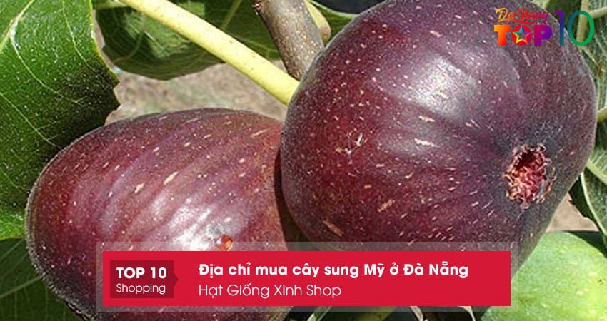 hat-giong-xinh-shop-top10danang